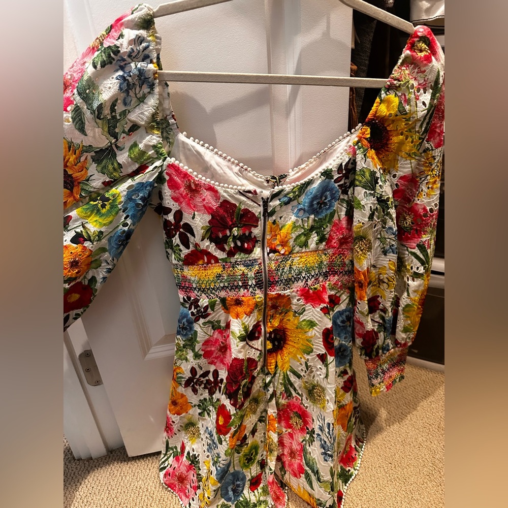 Alice and Olivia Dress size 2 - Picture 3 of 4
